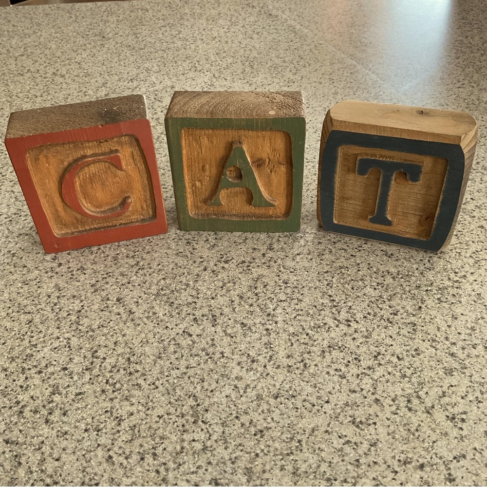 Primitive CAT Wooden Blocks (3)